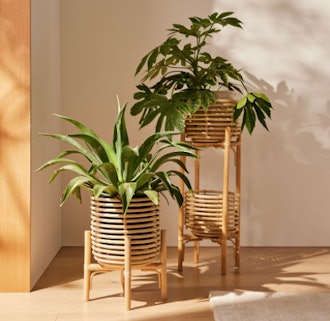 Neutral wooden rattan planter for elevating a room
