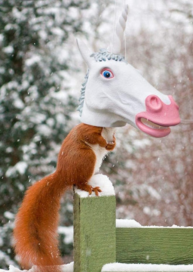 Archie McPhee Squirrel Feeder Unicorn Head