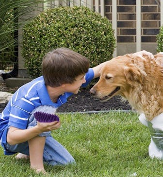 Hertzko Pet Bath & Massage Brush 