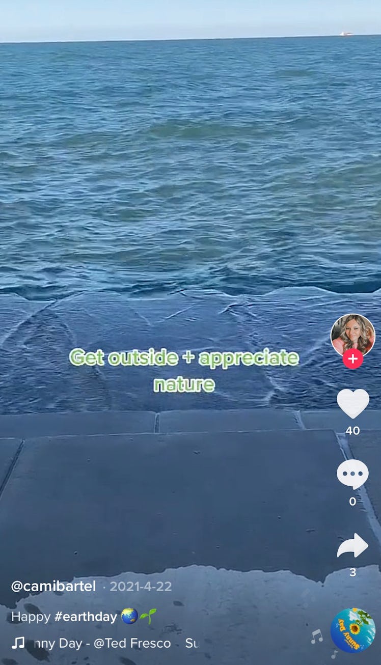 A TikToker shows Earth Day activities you can do inspired by TikTok.