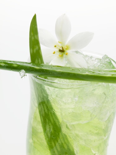 While Aloe Vera juice is sold commercially, nutritionist Leslie Bondi says if you’re going to drink ...
