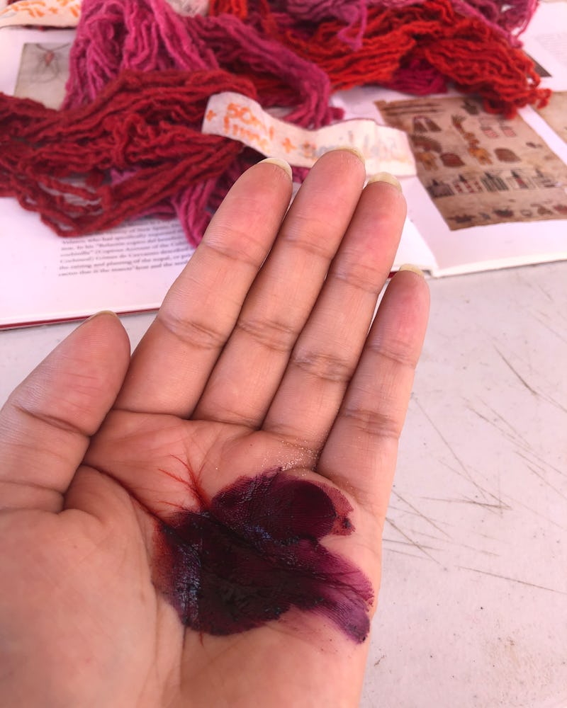 Pink plant-dye process and a hand holding a small pi