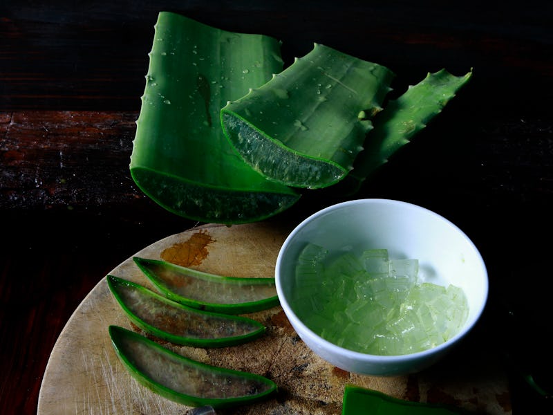 A viral TikTok trend about aloe vera may be misguided, experts say