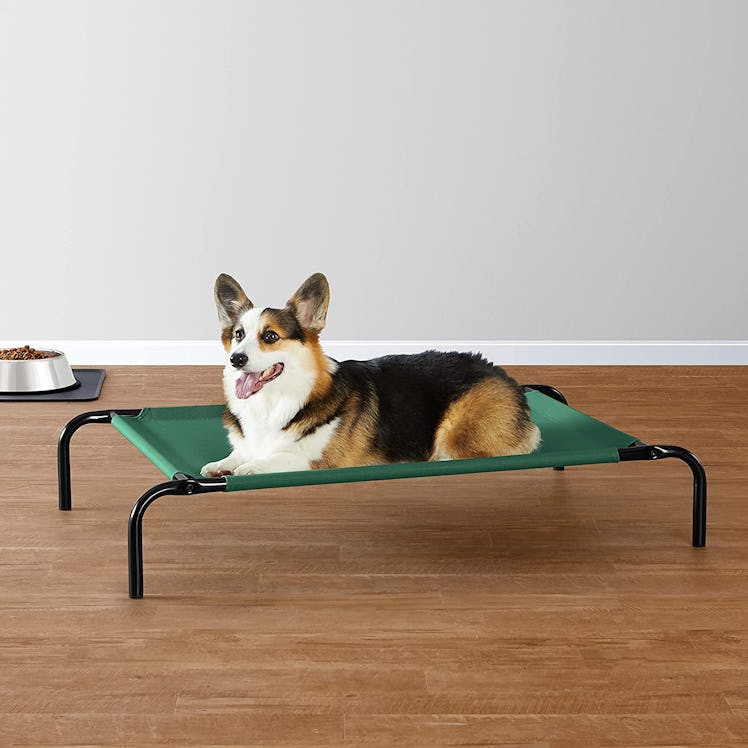 Amazon Basics Cooling Elevated Pet Bed