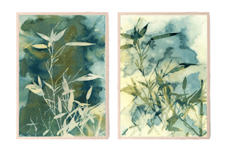 Bamboo Botanical Cyanotype Print Set