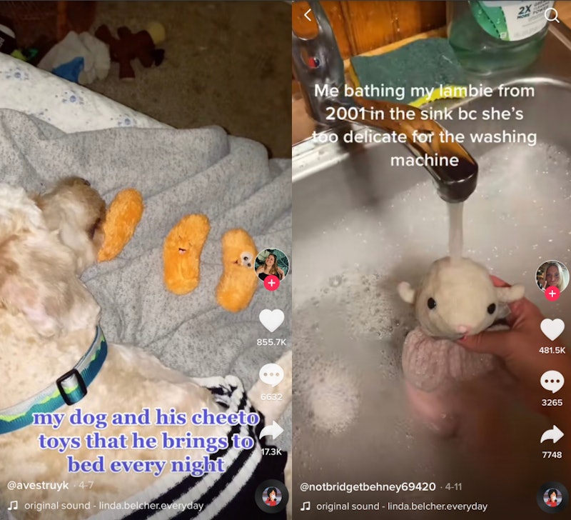 Users on TikTok are showing off their emotional support objects to the tune of Bob's Burgers. 