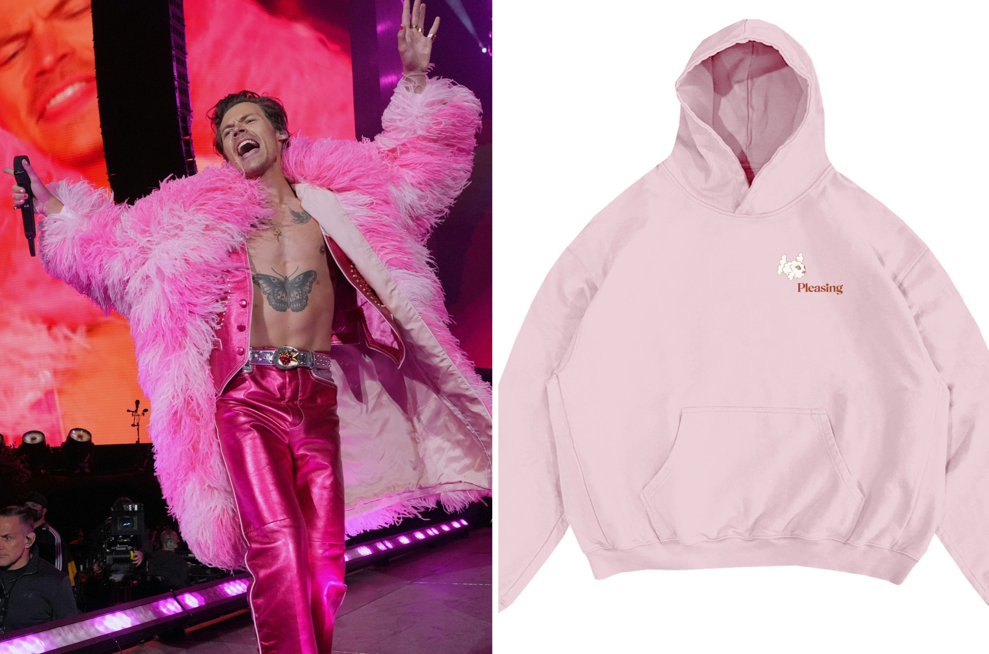 Pink 2024 harry styles’ pleasing coachella hoodie