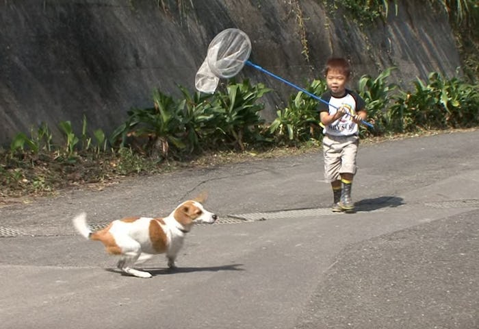A toddler on 'Old Enough' chases a dog on a dusty street, holding a butterfly net.