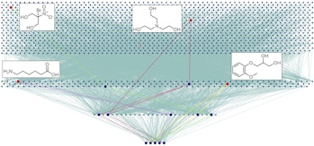 a branching "tree" oh chemicals with useful molecules broken out in boxes