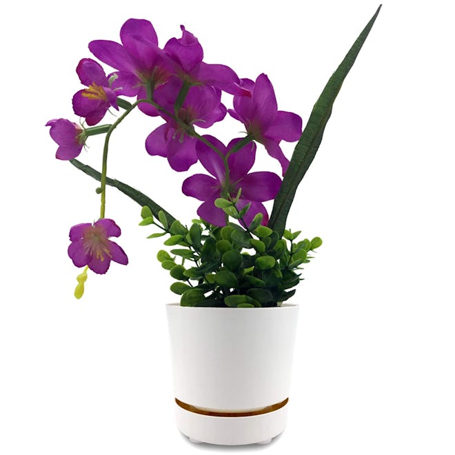 HBServices USA Self Watering Planter 