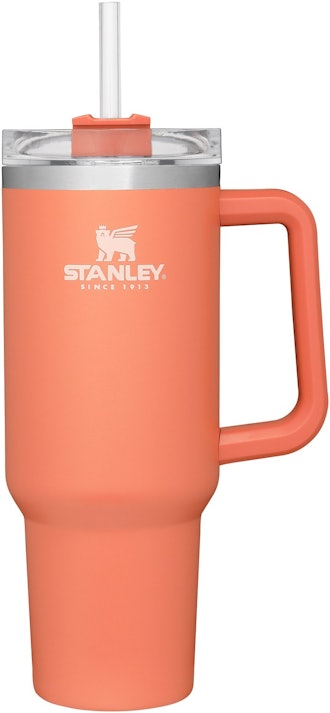 A Review of the Stanley Adventure Quencher - 5 Reasons Why I love My Stanley  Cup