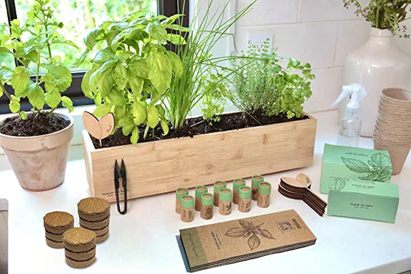 indoor herb garden kit