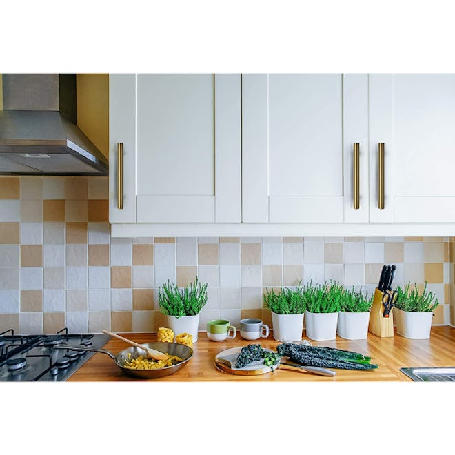 Ravinte Cabinet Handles (30-Pack)