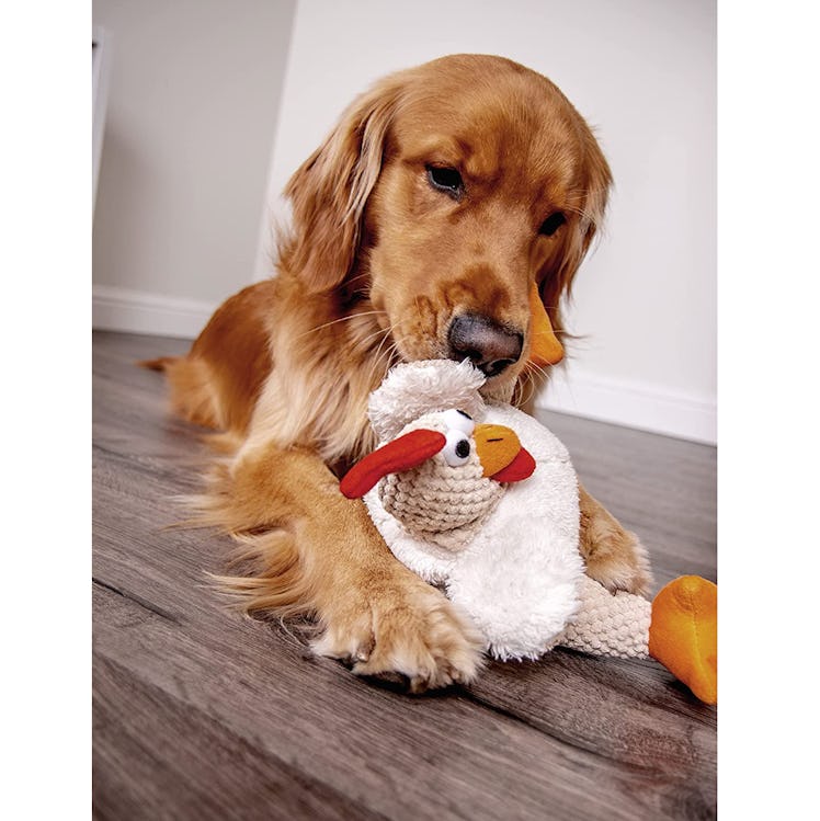 goDog Tough Plush Dog Toy with Chew Guard Technology