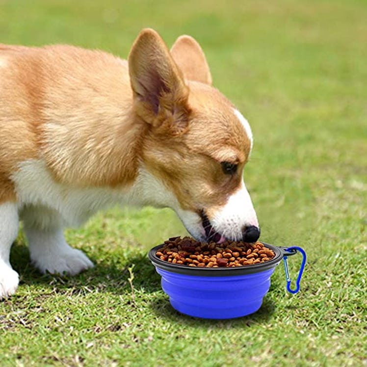  SLSON Collapsible Dog Bowl (2-Pack)