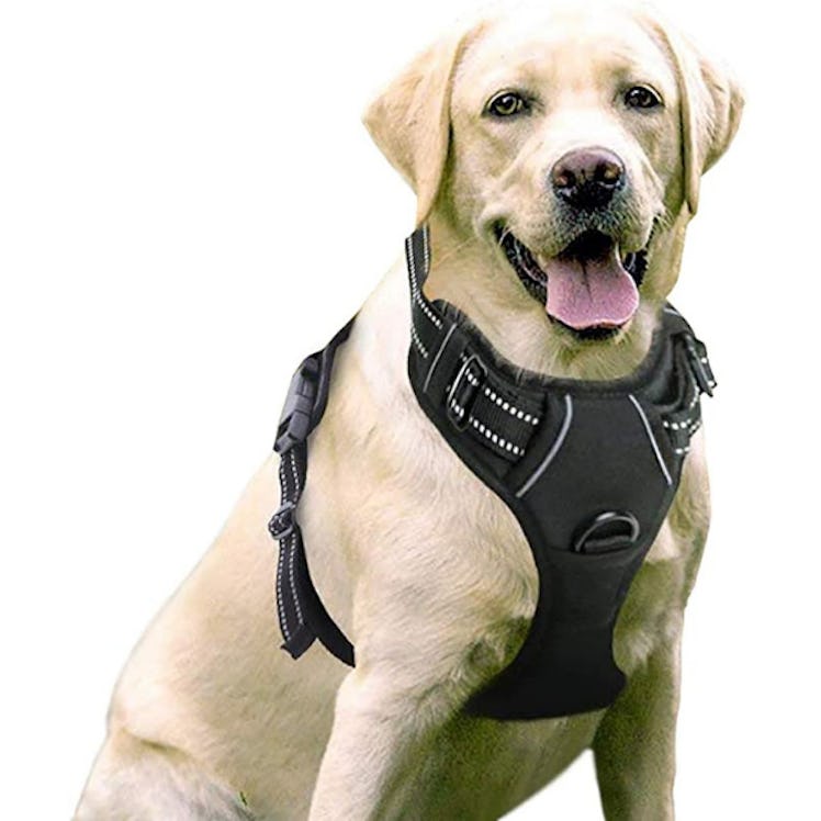 rabbitgoo Dog Harness