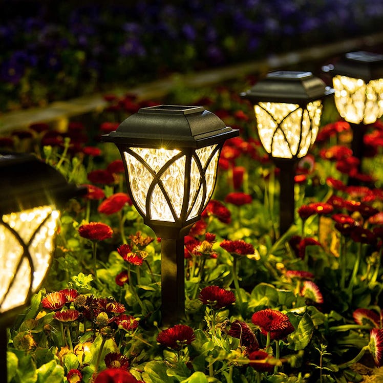 GIGALUMI Solar Pathway Lights (6-Pack)