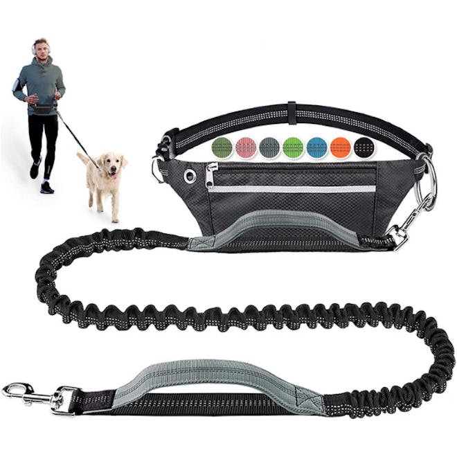 LANNEY Hands Free Dog Leash with Pack