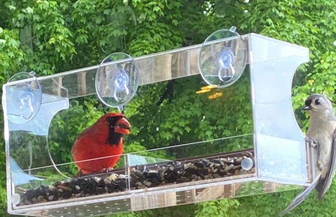 Mrcrafts Window Bird Feeder