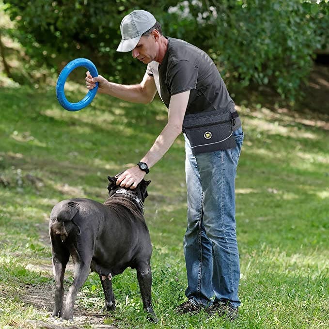 Viklluyr Dog Treat Pouch Bag