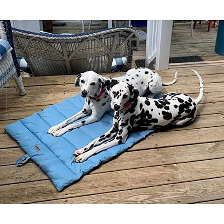  Cheerhunting Outdoor Dog Bed