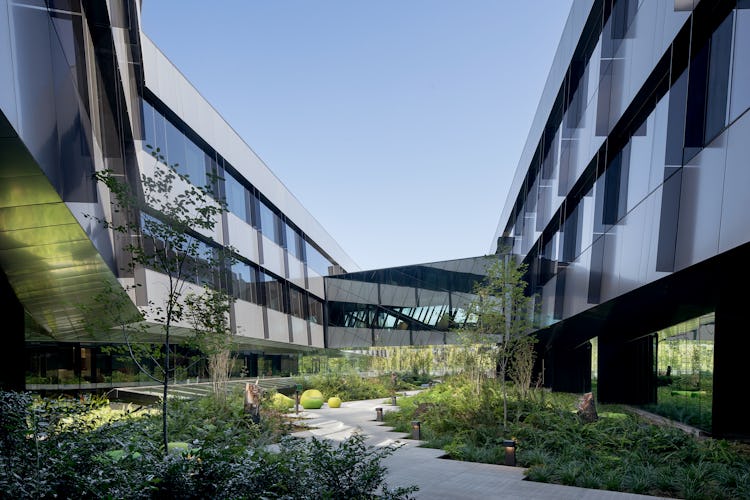 Nike Serena Williams building