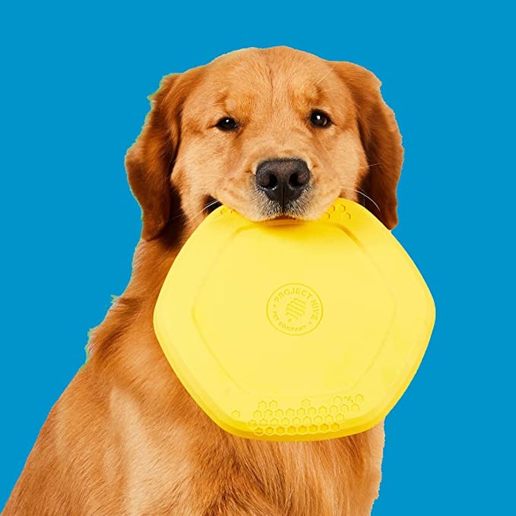 Project Hive Pet Company Dog Disc & Lick Mat