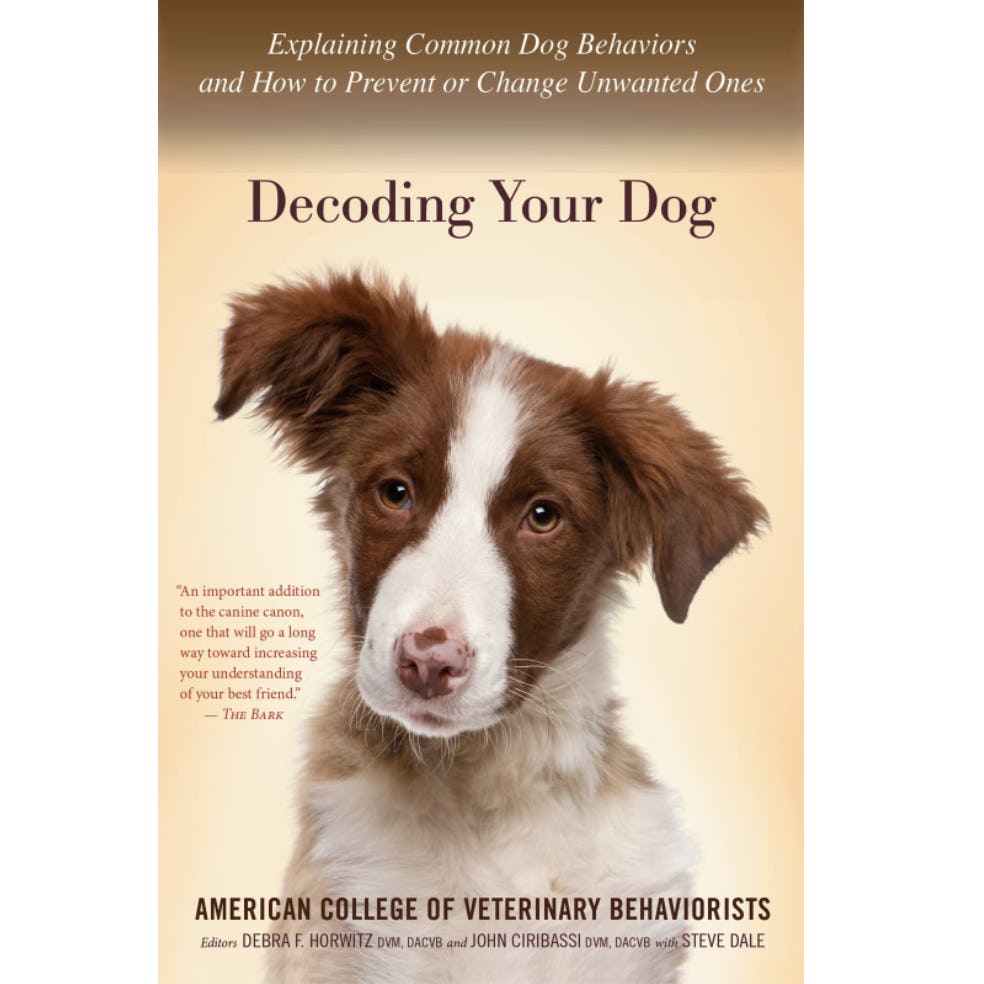 Decoding Your Dog: Explaining Common Dog Behaviors and How to Prevent or Change Unwanted Ones