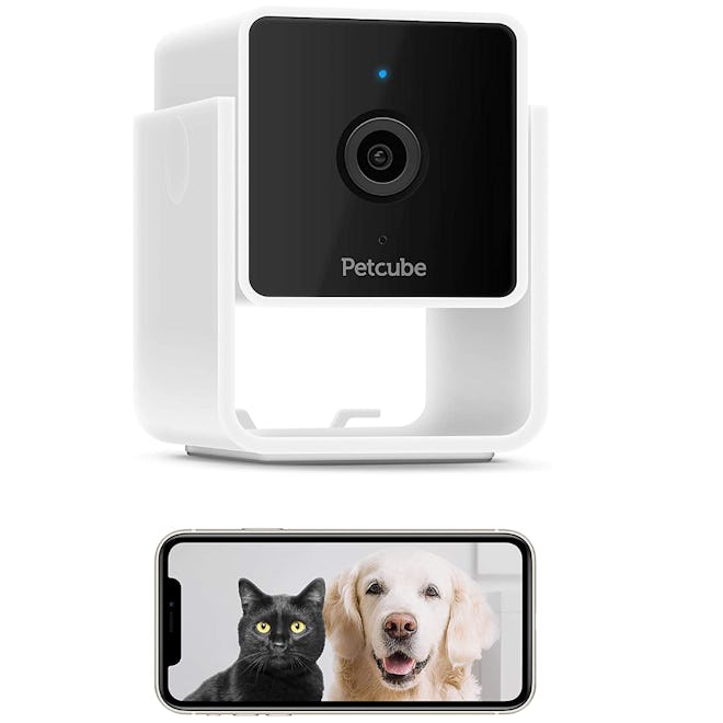 Petcube Cam Pet Monitoring Camera with Built-in Vet Chat