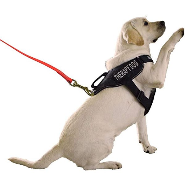 Viper Biothane Long Leash