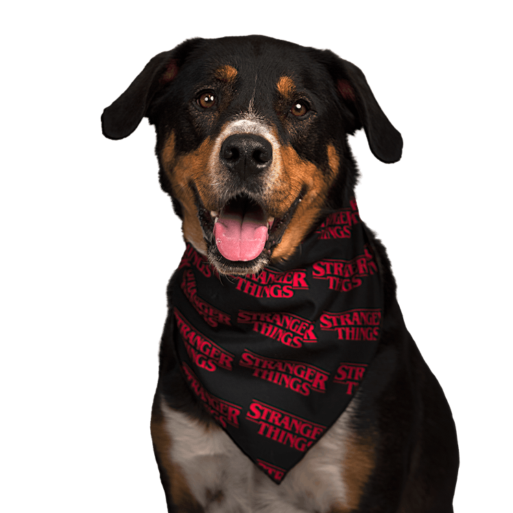 PetSmart's 'Stranger Things' collection includes a pet bandana. 