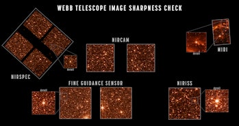 ¡Mirar!  El Telescopio Webb captura 5 vistas diferentes y deslumbrantes de una galaxia cercana