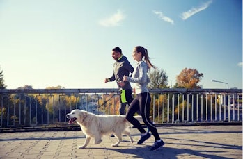 Man and a woman out for a run with a golden retriever on a lead running along side