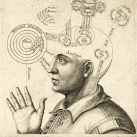 Antique print of a man's head representing the areas of the brain responsible for human thought.