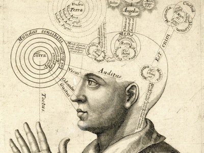 Antique print of a man's head representing the areas of the brain responsible for human thought.