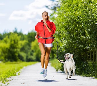 Hertzko Hands-Free Weather Resistant Dog Leash