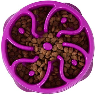 Outward Hound Slow Feeder Dog Bowl
