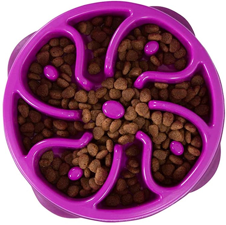 Outward Hound Slow Feeder Dog Bowl