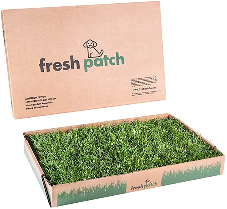 Fresh Patch Disposable Dog Potty with Real Grass
