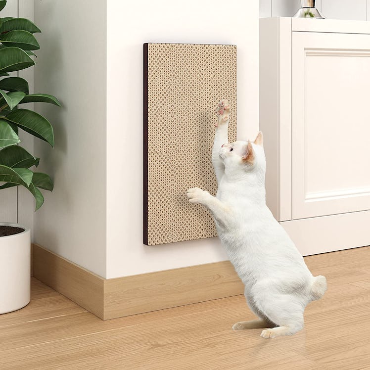 Way Basics Premium Eco-Friendly Wall Mount Scratch Pad