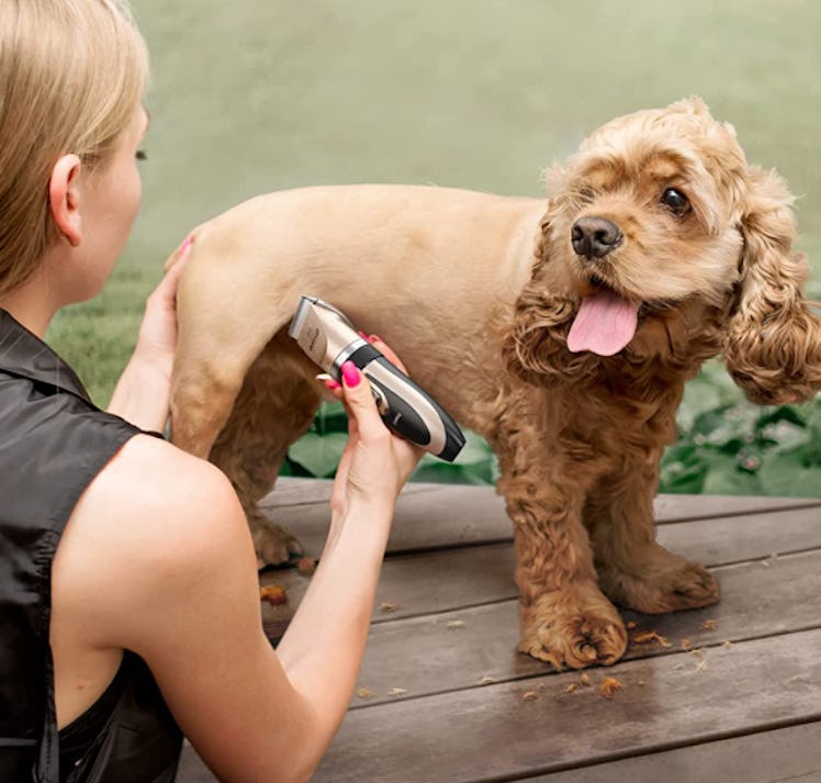oneisall Dog Grooming Clippers
