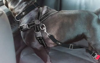 Active Pets Dog Car Harness