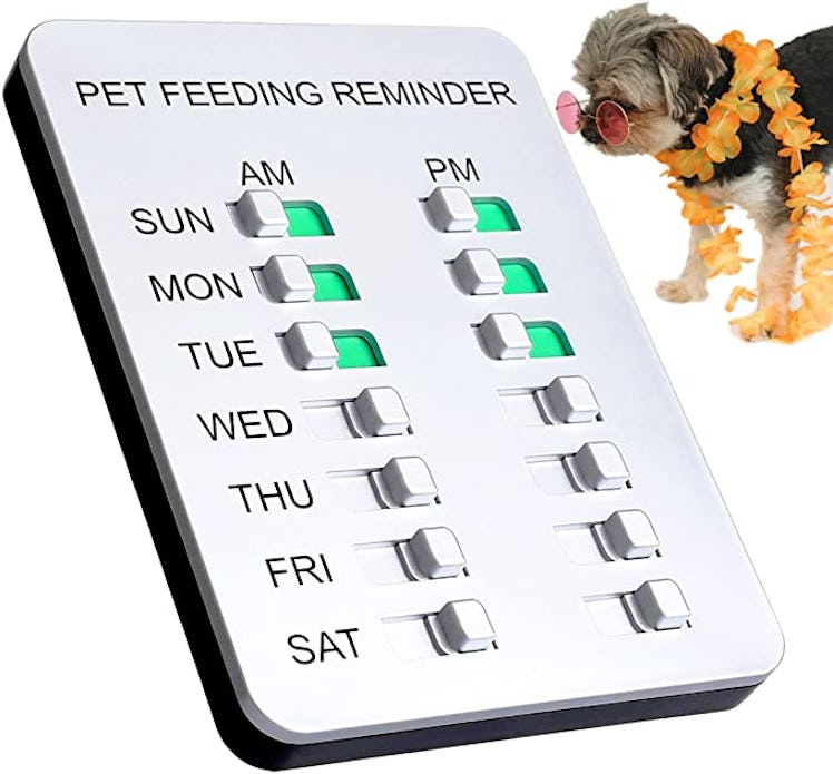 Allinko Dog Feeding Reminder