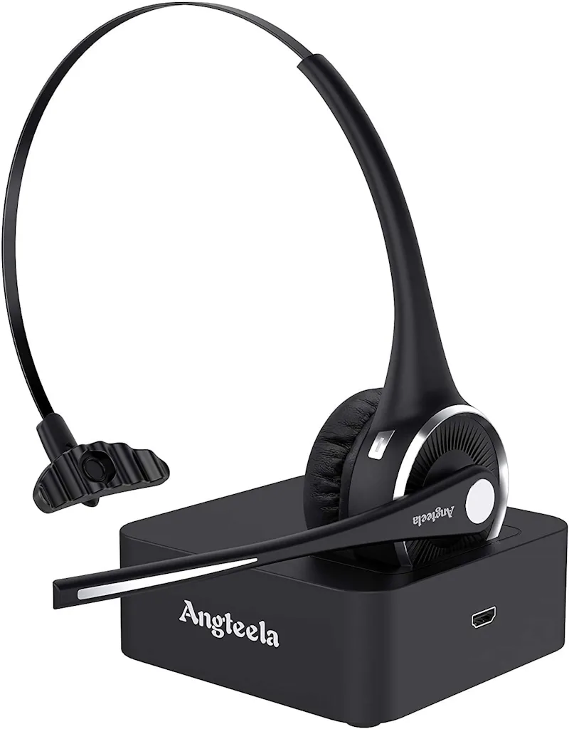 Facetime Ear The 7 Best Earbuds For Zoom Meetings in 2022