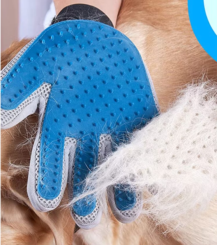 If Your Dog Is A Pain In The Ass, You'll Wish You Got These Genius Things Sooner
