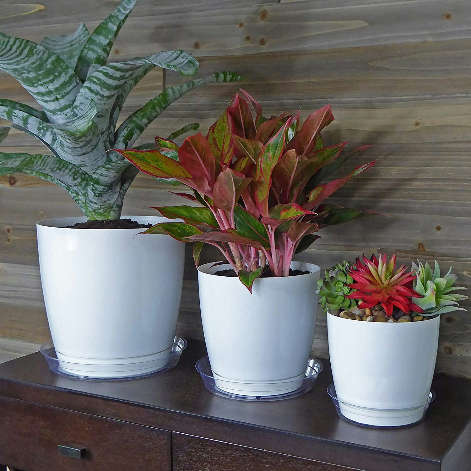 YOUniversal Products Clear Plant Saucer Drip Trays (15-Pack)