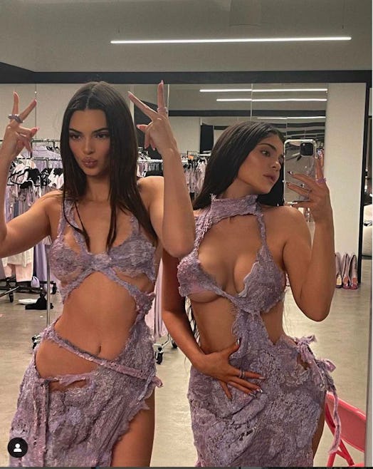 Kendall and Kylie Jenner pose in revealing purple dresses on Instagram.