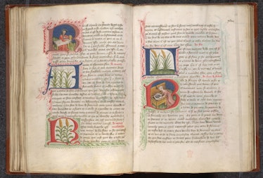 A 15th-century copy of the Régime du corps open to a section on food.