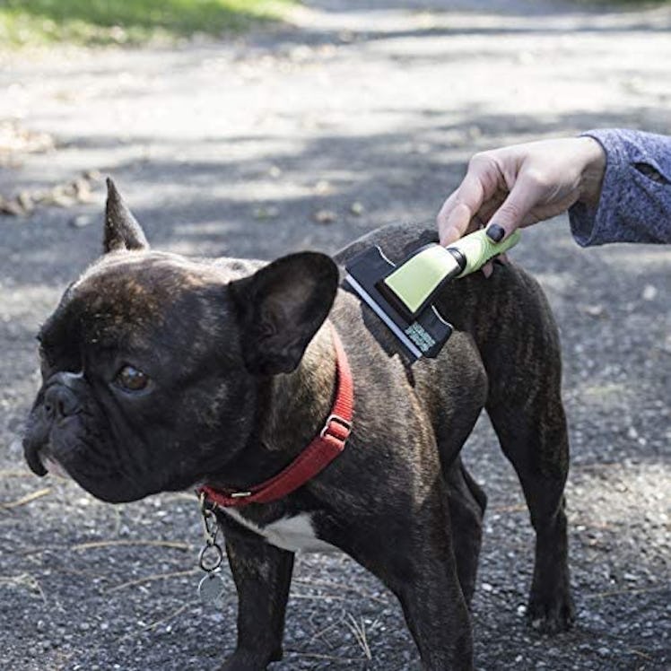 HappyDogz Slicker Dog Brush