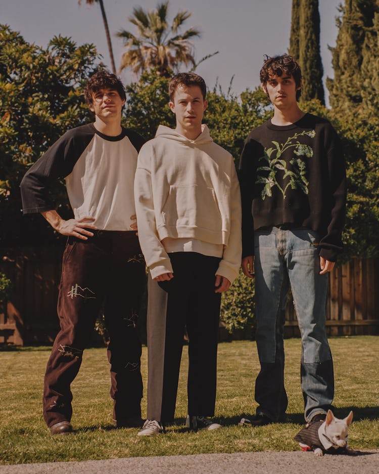Members of the band Wallows posing in the backyard 